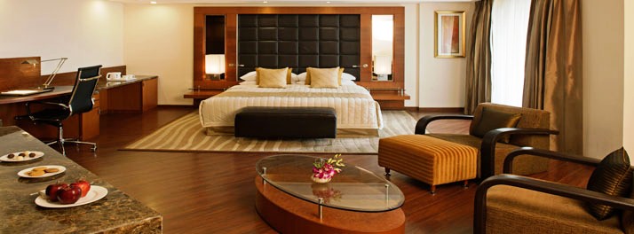 428/Radisson Blu Plaza - New Delhi 11.jpg